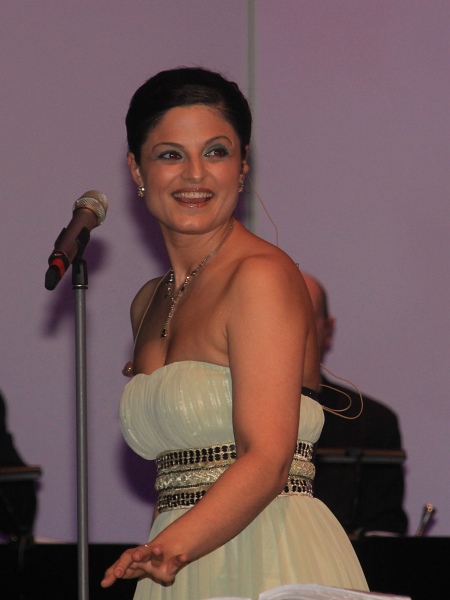 Landespresseball2011 032.jpg